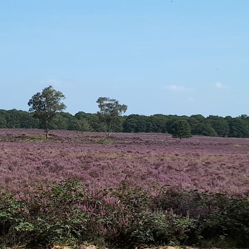 route Vierhouten Kootwijk